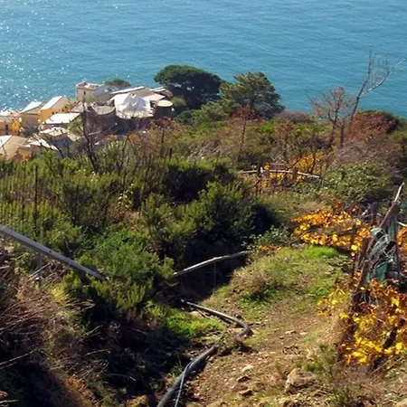 Unique La Spezia